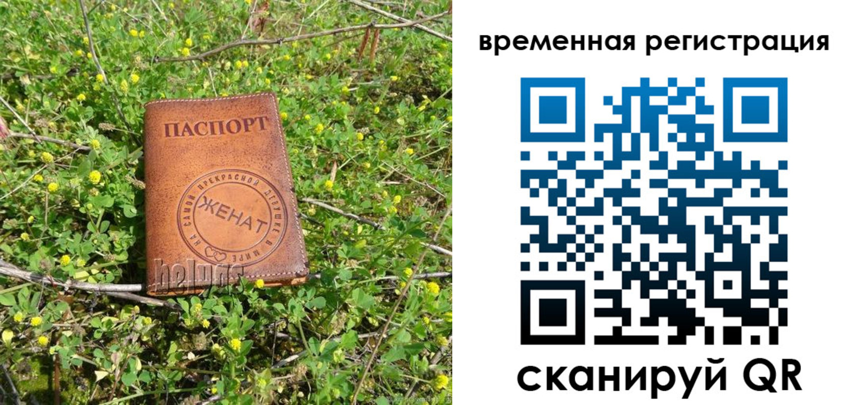 прописка регистрация в Тайге